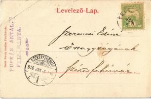 1906 Felsőbánya, Baia Sprie; Siegmeth Károly menedékház a Fekete-hegyen. Túry József amatőr felvétel...