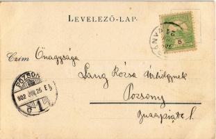 1902 Brád, vasútállomás. Dávid Aladár kiadása / Bahnstation / railway station (EK)