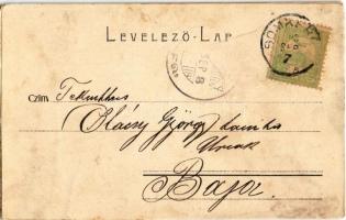 Csák, Csákova, Ciacova; Magyar királyi Földműves iskola telepe, ásás. Mesterovits és Jovanovits kiad...