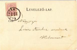 1899 Előpatak, Valcele; Gróf Nemes Villa. Nekő M. kiadása / villa (EB)