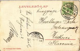 1906 Zombor, Sombor; Szerb tanító képezde, lovashintó / Serbian teachers training school, chariot (E...