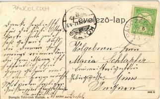 1909 Magyarderzse, Darja; Dr. Miklóssy ügyvéd kastélya. Dorogán testvérek kiadása / castle