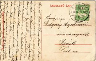 1910 Dunaszerdahely, Dunajská Streda; Széchenyi utca, zsinagóga. Goldstein Józsua kiadása / street v...