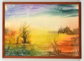Jelzés nélkül: Lápos vidék. Akvarell-tus, papír, üvegezett keretben, 31×45 cm