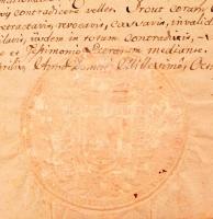 1829 I. Ferenc magyar király oklevele városfalvi Kénosi György (1817-1838) udvarhelyi unitárius egyh...