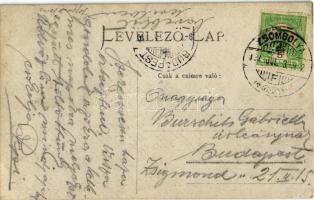 1908 Zsombolya, Jimbolia; Gróf Csekonics Csitó kastélya. Szecessziós montázs keret gyerekekkel / cas...