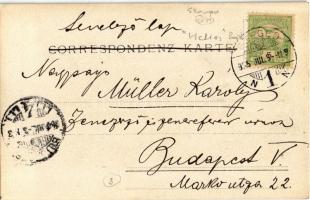 1905 Szeged, Hajóállomás, "Helios" gőzhajó a kikötőben. photo