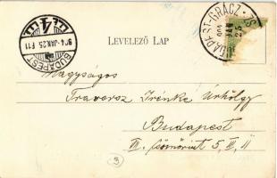 1904 Győr, látkép a város tornyáról. Kiadja Berecz Viktor + Budapest-Grácz vonat bélyegző