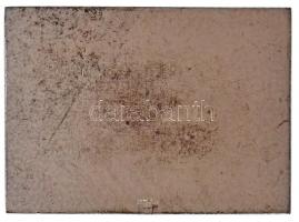 Holló Barnabás (1865-1917) DN "Báró Wesselényi Miklós emlékverseny - Balatoni távúszás" ez...