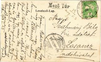 1909 Mezőtúr, látkép. Kiadja Kanyó Antal + Gyulafehérvár-Budapest vasúti pecsét