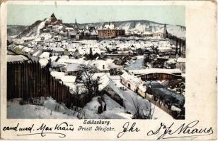 1901 Segesvár, Schässburg, Sighisoara; téli látkép újévi üdvözlettel. Fritz Teustch kiadása / Prosit Neujahr / winter with New Year greetings (EK)