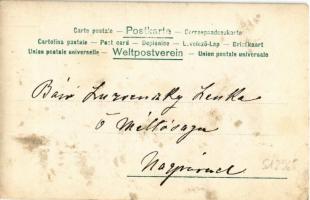 ~1900 Nagyvárad, Oradea; Báró Luzsénszky Lenke és férje lovasszánon télen / Baroness and her husband...