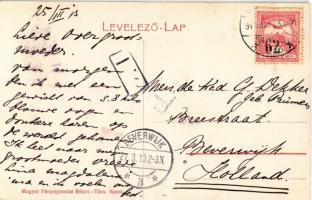 1913 Budapest XII. Farkas villa. Art Nouveau, floral