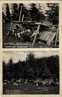 1939 Kőrösmező-Tiszaborkút, Jaszinya, Jasina-Kvasy, Yasinia (Máramaros); juhfejés, juh nyáj / Dojeni ovec, ovce na poloniny / milking the sheep