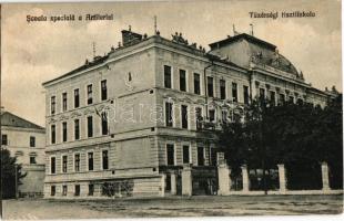 Temesvár, Timisoara; Tüzérségi tisztiiskola / military artillery school / Scoala speciala a Artileriei (Rb)