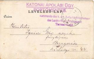 1918 Tarcsa, Tatzmannsdorf; Karolina Villa, Gyógyudvar, Sétatér / Kursalon, Promenade, spa. floral +...