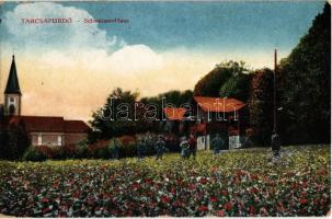 1918 Tarcsa, Tatzmannsdorf; Schweizer-Haus / villa