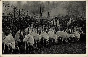 1939 Kárpátaljai folklór, juh fejés / Podkarpatská Rus, Dojení ovec na salasi / Transcarpathian folklore, sheep milking