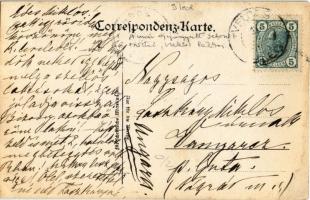 A már gyógyulóban lévő sebesült tisztek szellős lakásai / WWI Austro-Hungarian K.u.K. military, inju...