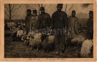 Még nincs baj / Es ist noch keine Gefahr / WWI Austro-Hungarian K.u.K. military, soldiers with sheep (EK)