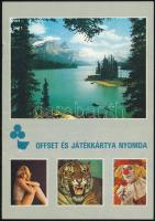 4 db játékkártya-katalógus + 1 db meghívó