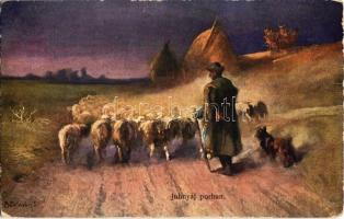 46 db főleg RÉGI üdvözlőlapok (ünnepek, folklór, állatok, művészlapok, stb.) és néhány külföldi váro...