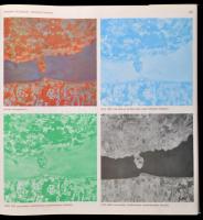 Balla Antal, Balla Sándor, Dr. Berencei Rezső, Dr. Domokos Györgyné, Szilágyi Péter: Magyarország az...