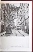 Salzburg. Der Bezirk in alten Ansichtskarten. Verlag Carl Ueberreuter, Wien. 2006. 182 p. / Salzburg...