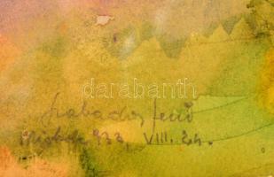 Szabados Jenő (1911-1942): Kilátás az Avasról. Akvarell, papír, jelzett, üvegezett keretben, 27×33 c...