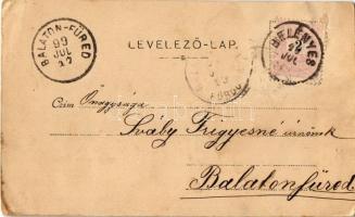 1899 Belényes, Beius; látkép, templomok. Kiadja Süssmann Lázár / general view with churches (EK)