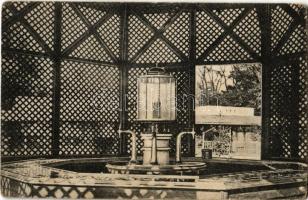 1916 Buziásfürdő, Buziás, Baile Buzias; Szent Antal és Phönix forrás. Kiadja Heksch Manó / mineral water spring (EK)