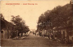 1911 Nagybecskerek, Zrenjanin, Veliki Beckerek; József főherceg utca, üzletek. Kiadja Mangold Lipót / street view with shops (EK)