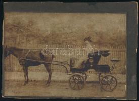 cca 1900 Kalapos hölgy hintón, kartonra kasírozott fotó, karton körbevágva, 10×15 cm