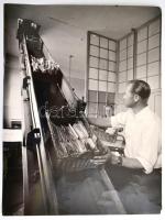 cca 1950-1960 Postai életképek, levéltovábbítás, telefongyakorló központ, 2 db fotó, 30×40 cm