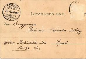 1899 Vác, Nagytemplom, Fegyintézet, börtön, látkép, Siketnémák Intézete. Ottmar Zieher Art Nouveau, ...