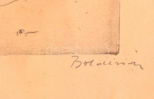 Boldizsár István (1897-1984): Tóparti táj. Rézkarc, papír, jelzett, foltos, üvegezett keretben, 29×3...