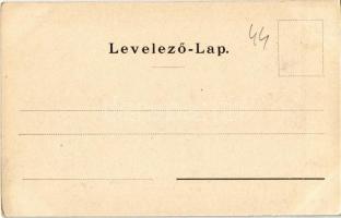 Vác, Siketnémák Kir. Országos Intézete, régi intézet elölnézete. Kiadja Klösz Gyorgy