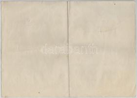 Budapest 1923. "Nemzeti Hitelintézet Részvénytársaság" részvénye 2000K-ról, szelvényekkel,...