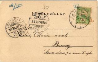 1902 Miskolc, Evangélikus egyház palotája, Rosenbluth Marton, Domán József, Simkó Sándor üzlete. Kia...