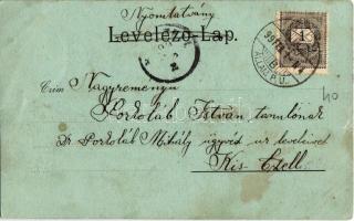 1899 Győr, látkép, Győr-Újváros, Rábca folyó, híd, izraelita templom, zsinagóga. Kiadja Ehrenthal Ig...