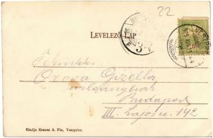 1905 Veszprém, Sédmenti táj, fahíd a patak felett. Kiadja Krausz A. fia (EK)