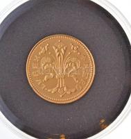 DN " Magyarok Kincstára - Károly Róbert aranyforint" aranyozott Cu emlékérem tanúsítvánnya...