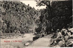 Retyezát, Retezat; A Nagy-Víz (Sebesvíz) völgye. Adler fényirda 1908. / Riu Mare / riverside, river bank