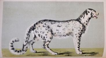 1860-1865 Der Zoologische Garten. Organ der Zoologischen Gesellschaft in Frankfurt a. M. Kiadta Dr. ...