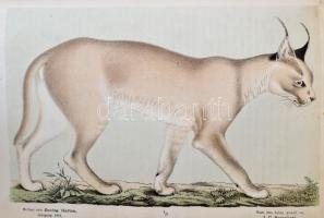 1860-1865 Der Zoologische Garten. Organ der Zoologischen Gesellschaft in Frankfurt a. M. Kiadta Dr. ...