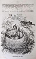 1860-1865 Der Zoologische Garten. Organ der Zoologischen Gesellschaft in Frankfurt a. M. Kiadta Dr. ...