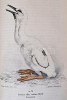 1860-1865 Der Zoologische Garten. Organ der Zoologischen Gesellschaft in Frankfurt a. M. Kiadta Dr. ...