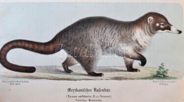 1860-1865 Der Zoologische Garten. Organ der Zoologischen Gesellschaft in Frankfurt a. M. Kiadta Dr. ...