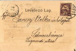 1901 Budapest, látkép a királyi vártól, Lánchíd, Bazilika, gőzhajó. Gustav Ertel Art Nouveau, litho ...