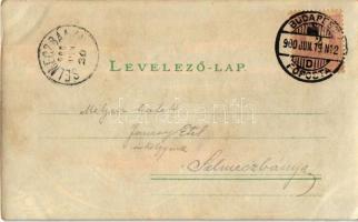 1900 Budapest XI. Gellérthegy, gőzhajó. Fény felé tartandó lap / Meteor D.R.G.M. 88690. Back & S...